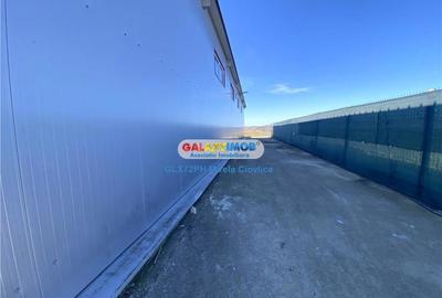 Inchiriere Hala Industriala Baicoi Prahova - 5