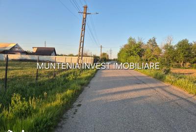 Teren de 3533 mp, în Poiana Lacului - 5