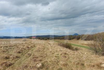 Teren de vanzare in Rasnov zona Glejerie, 10.000 mp - 4
