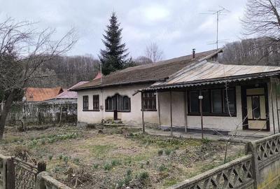 Casă cu 4 camere cu Teren 700 Mp în Central - 2