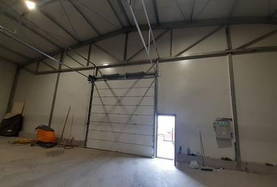 Hala noua in zona Gara Catelu, Drumul Intre Tarlale - 2