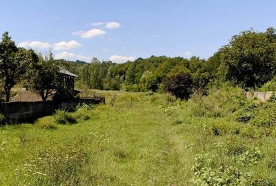 Teren de 50000 mp, în Zătreni - 1