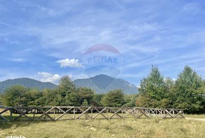 Spațiu comercial, în Predeluț - 5