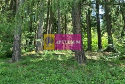 Teren de vânzare în Bușteni - Zona Zamora - 6