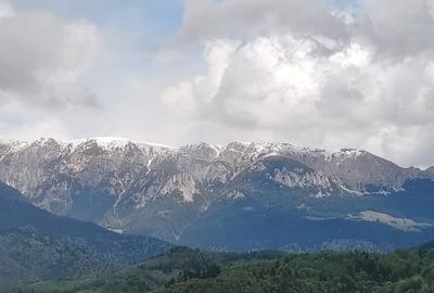 Oportunitate rara! Teren 7.283 mp, investitie garantata - 14