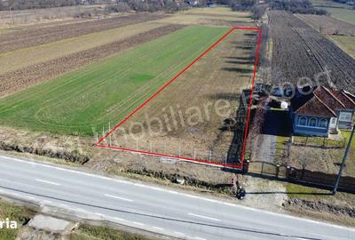 Teren de 3657 mp, în Băiculești - 8