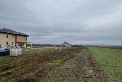 Teren de 5000 mp, în Mocira - 1