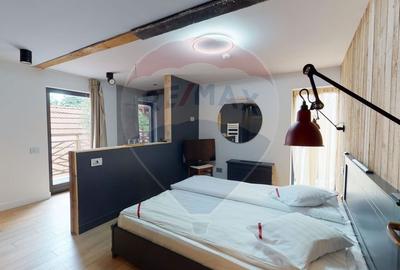 Hotel boutique/ Pensiune, renovat recent,  zona naturala ,  14 camere - 10