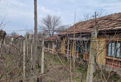 Spațiu comercial, în Goicea - 7