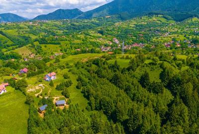 Teren Intravilan in Bran, Brasov (Oaza Ta de liniste la Munte) - 6