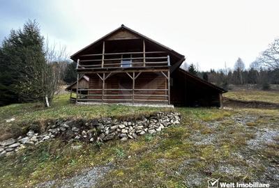 Oportunitate unica! 5ha + 2 cabane de vacanta in Valea Ierii - 6