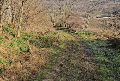Teren de 3600 mp, în Lipovăț - 9