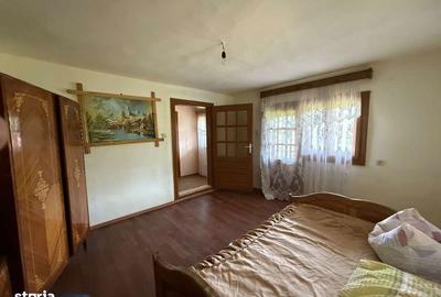 Casă cu 4 camere cu Teren 11000 Mp în Săliște - 8