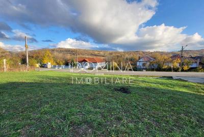 Teren 11.939 mp Balane?ti ideal reziden?ial/comercia - 4