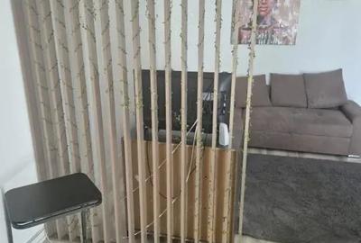 Apartament cu 2 camere decomandat în Viilor - 5