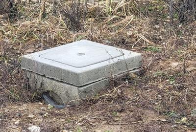 Teren de 2381 mp, în Paleu - 3