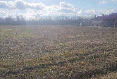 Teren de 6700 mp, în Gălețeanu - 6