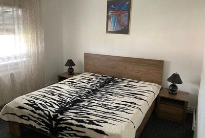 Apartament cu 2 camere decomandat în Steaua - 4