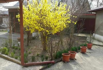 Casă cu 11 camere în Central - 8