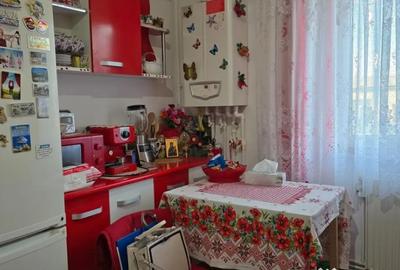 Apartament cu 3 camere decomandat în Minerul - 13