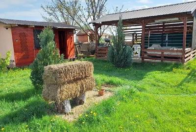 Casă cu Teren 630 Mp în Adunații-Copăceni - 2