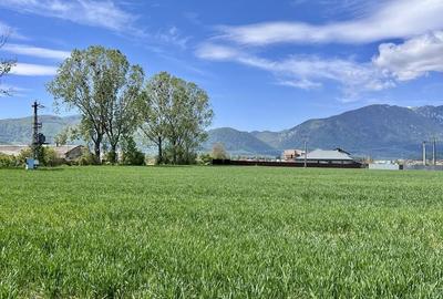 Spațiu comercial, în Tohanu Nou - 3