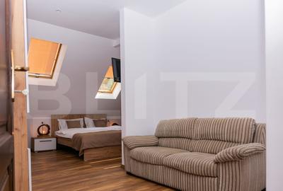 Apartament 1 camera ultracentral - 3
