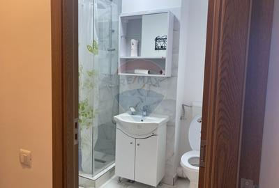Garsoniera de inchiriat - Metrou Pacii, Militari - 7