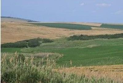 Teren Extravilan Aroneanu, ID: R2577828 - 1