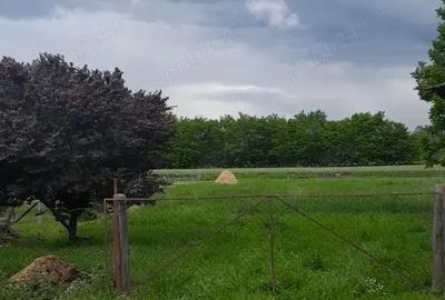 Vand casa in Ungaria la 25 km de vama Bors - 3