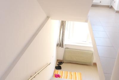 Duplex cu 4 camere cu Canalizare în Lacul Tei - 3