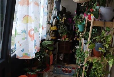 Apartament cu 2 camere decomandat în Runcu - 5