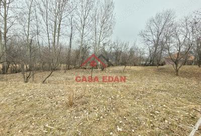 Casă cu Teren 1358 Mp în Gura Beliei - 15