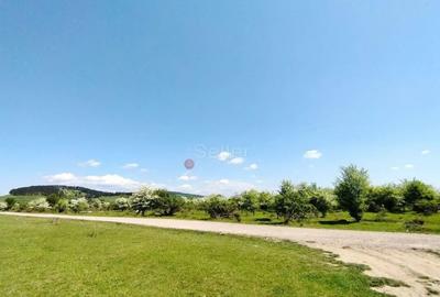 Teren de 1333 mp, în Sânpetru - 8