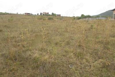 Teren de 600 mp, în Central - 6