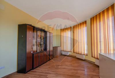 Casa + teren + hala de vanzare in Beregsau - 0% Comision - 9