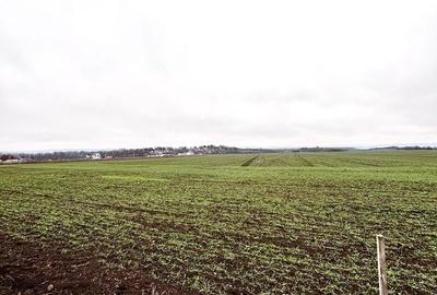 Teren de 1860 mp, în Central