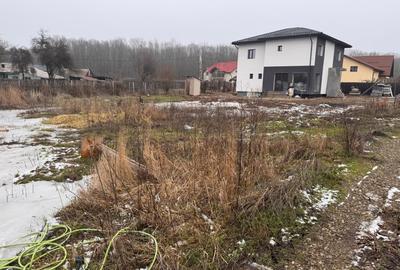 Teren Construcții intravilan de 500 mp, în Ciolpani - 9