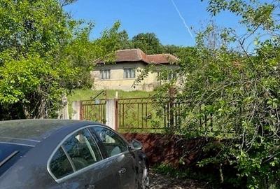 Proprietate cu izvor de apa - 1