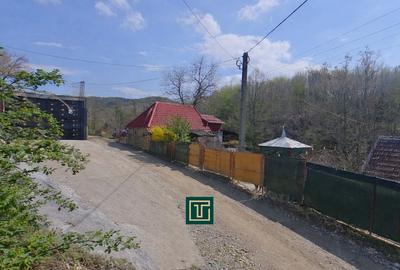 Casă cu 2 camere cu Teren 874 Mp în Covăsinț - 4