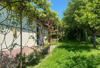 Casă cu 3 camere în Central - 14