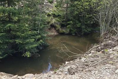 Teren de 1000 mp, în Băișoara - 3