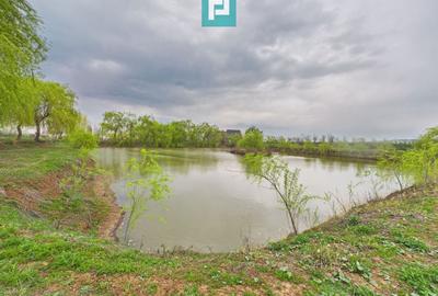 Teren agricol extravilan de 10000 mp, în Alioș - 3