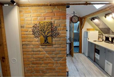 Apartament cu 3 camere, mobilat în Centrul Istoric - 7