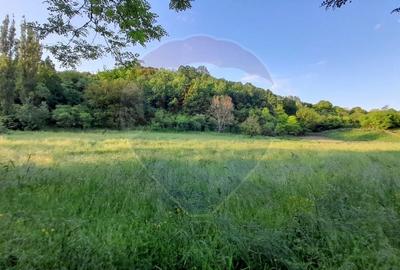 DE VANZARE- GOSPODARIE cu 95 arii teren - 3