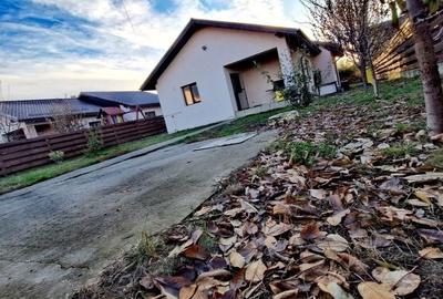 Casa 4 camere cu curte - 18