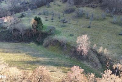 Teren de 23321 mp, în Vața de Jos - 2