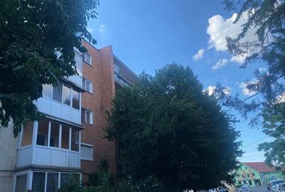 Apartament 4 camere, zona Miorita - 2