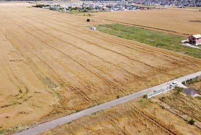 Teren Intravilan In Rate Sf. Ana - Com. Berceni | curent | #UG25 Teren Intravilan In Rate Sf. Ana - Com. Berceni | curent | #UG25 - 6