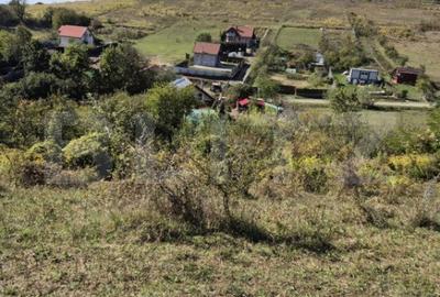 Teren de 12000 mp, în Livezeni - 2